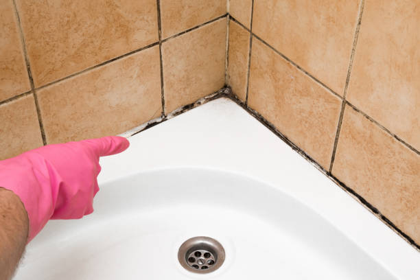 Best Mold Testing  in St Marys, GA
